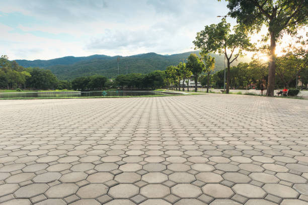 Best Driveway Pavers Near Me  in Shawneeland, VA